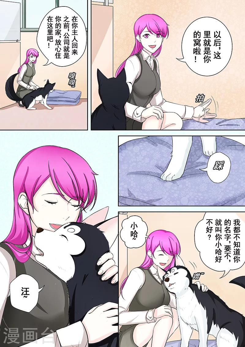 第5话 我不是二哈-第5话