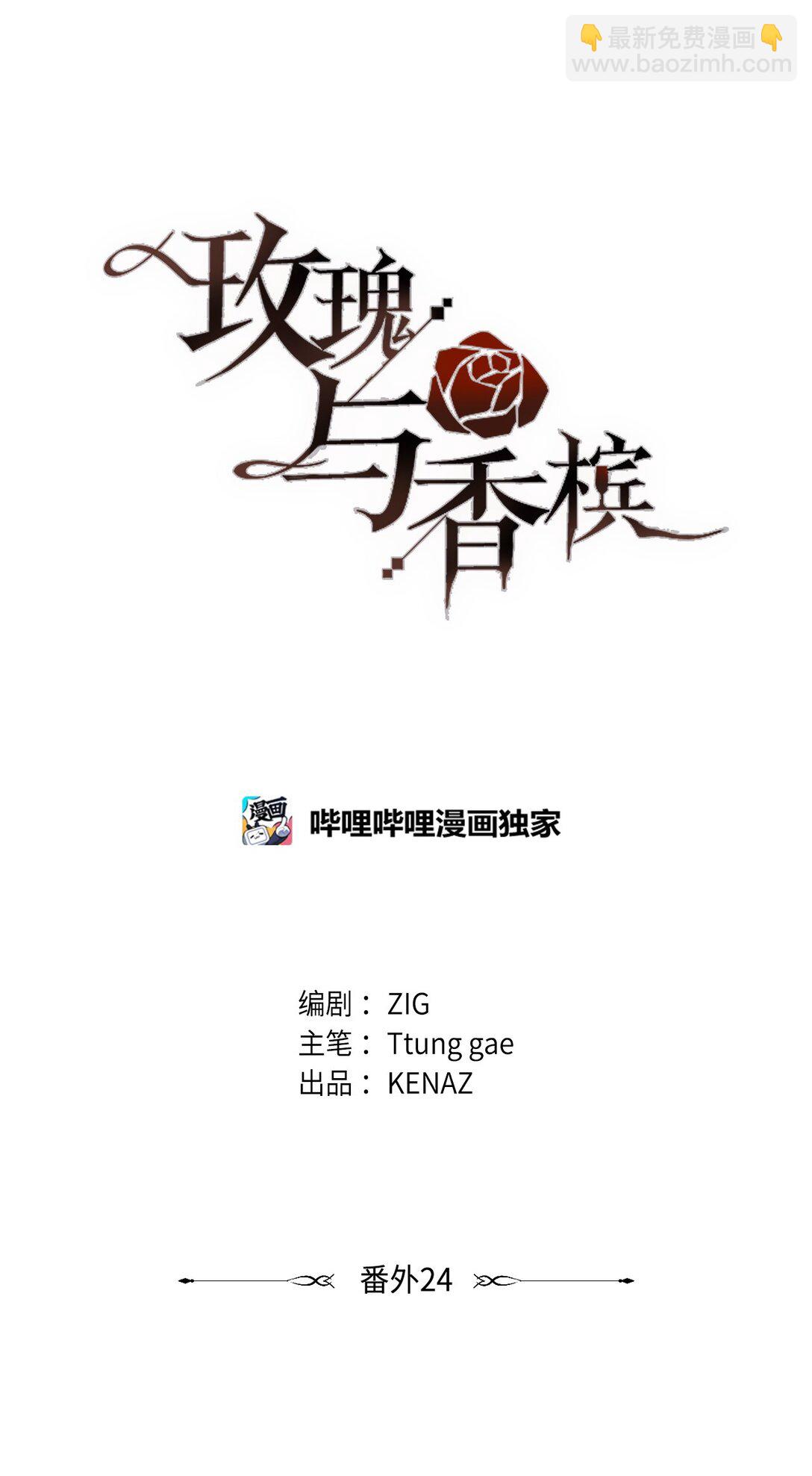 番外24 又遭袭击(1/2)-第65话