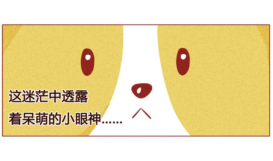 第18话 被诅咒的狼人-第19话