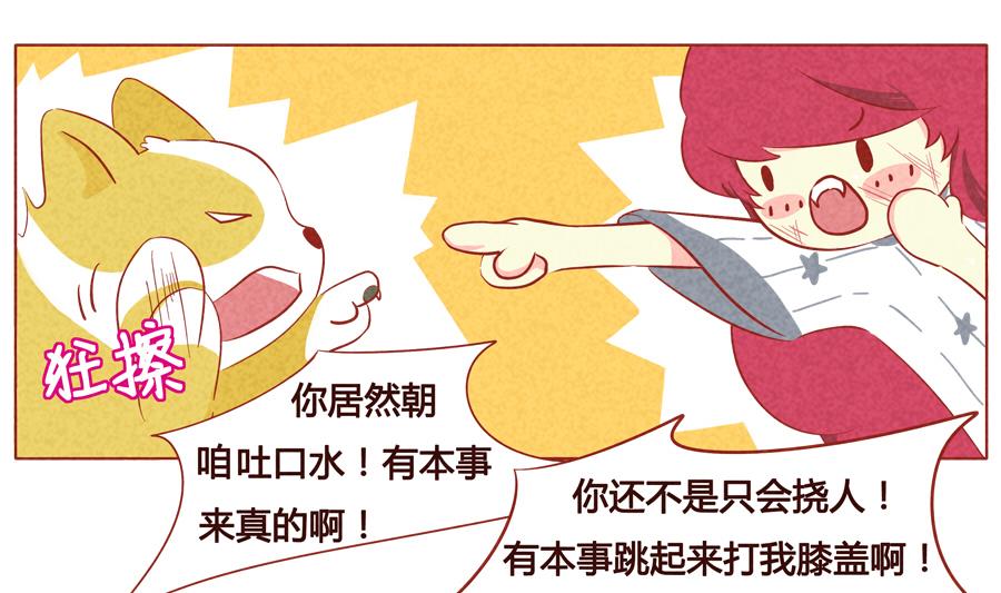 第20话 决斗吧！狼人！-第21话