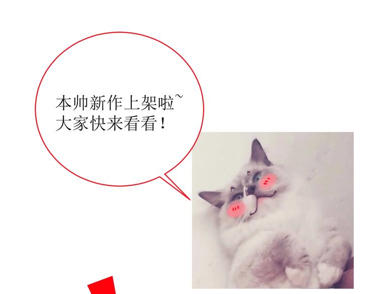 新作上线 美男抽卡游戏-第59话