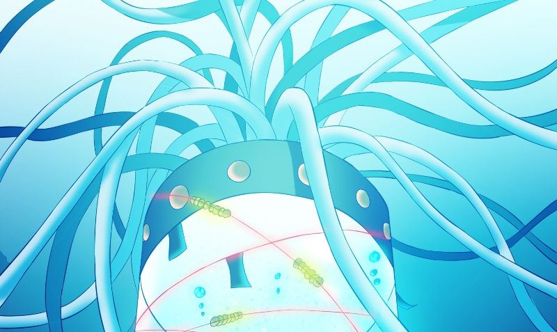 第91话 大小姐身上的秘密(1/2)-第91话