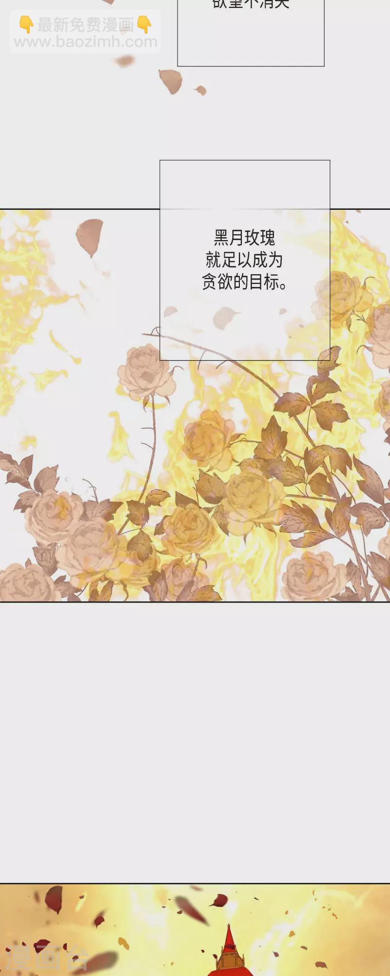 第1话 黑月玫瑰(1/2)-第1话