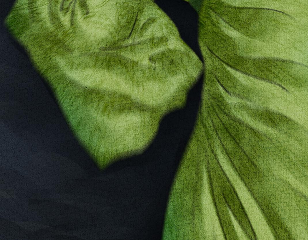 第32话 千钧一发(1/2)-第33话