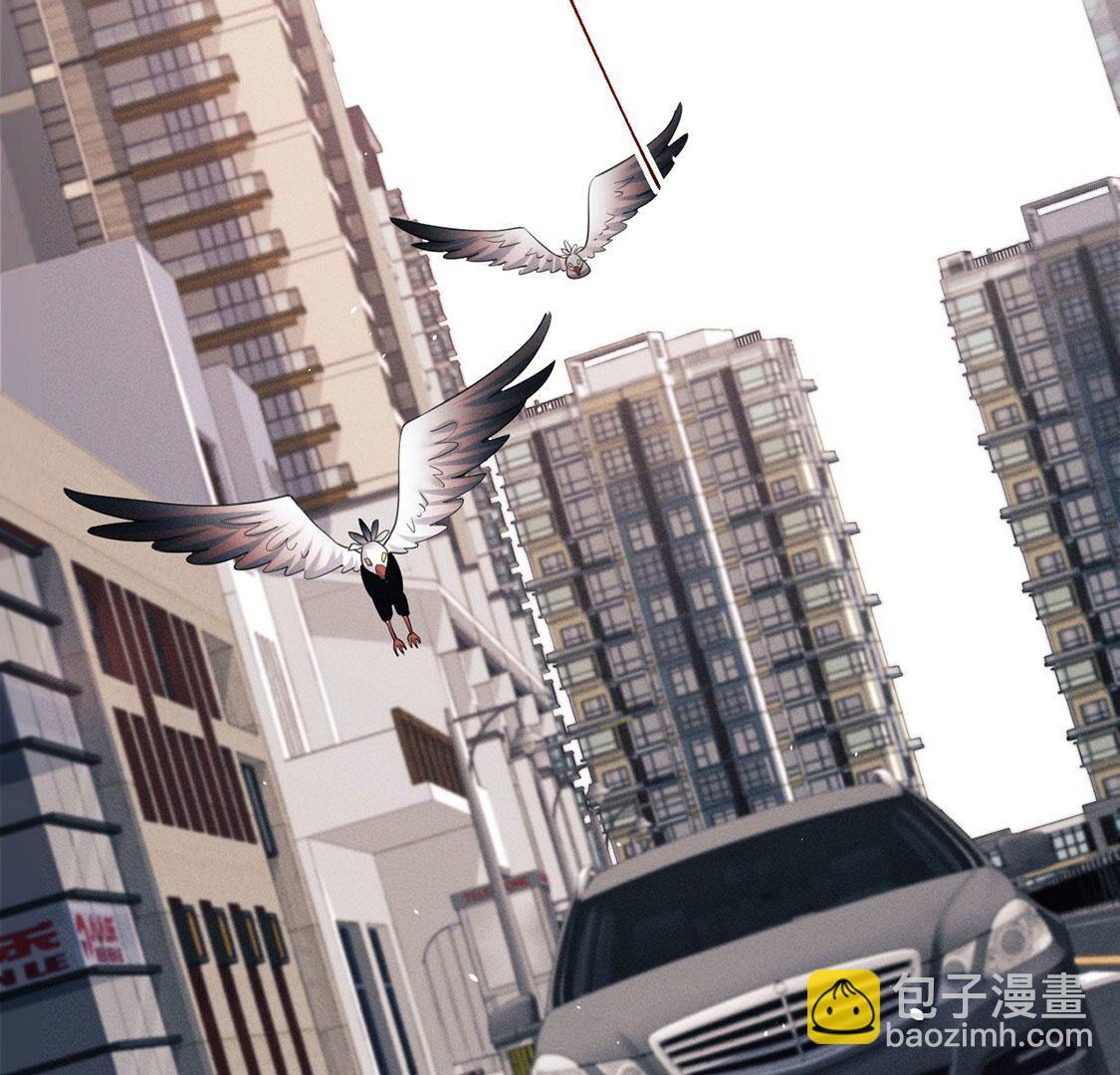 第62话 再现菠萝包(1/2)-第63话