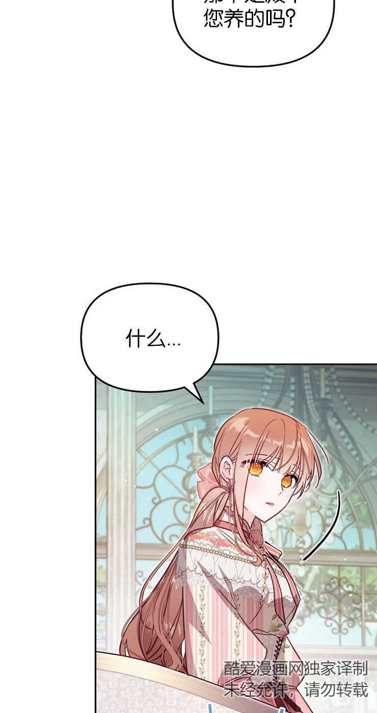 沒有冒牌貨的位置 - 第39話(1/2) - 4