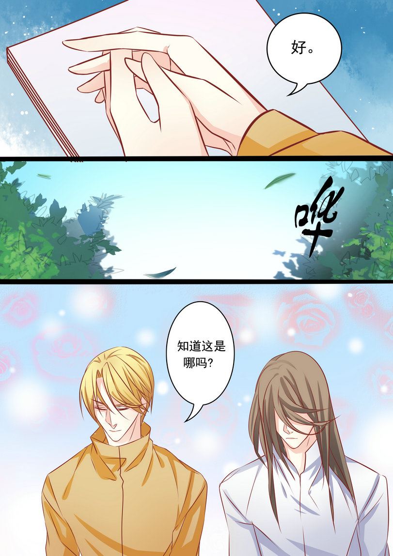 第33集(美玉无双)-第33话