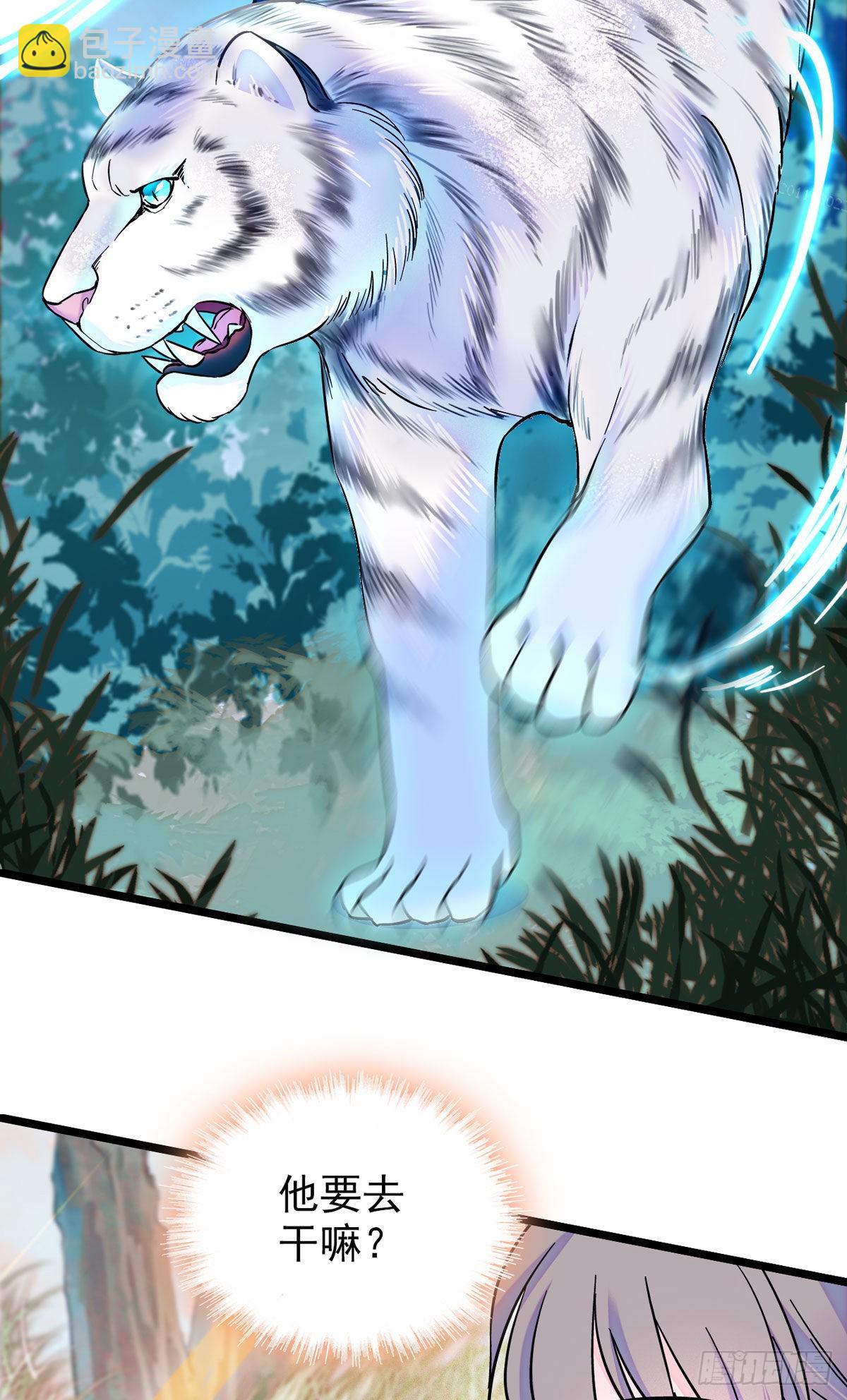 03 这是，动物世界？-第3话