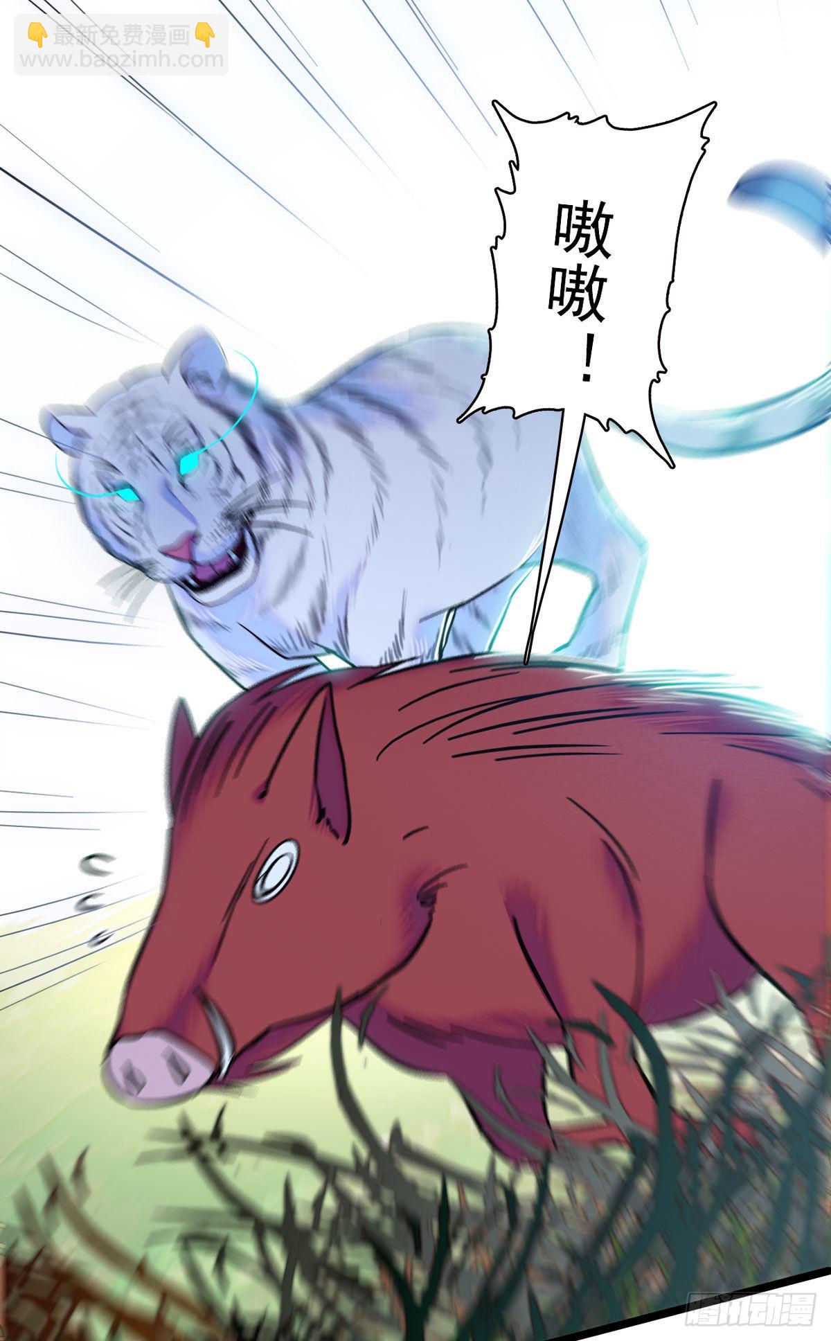 03 这是，动物世界？-第3话