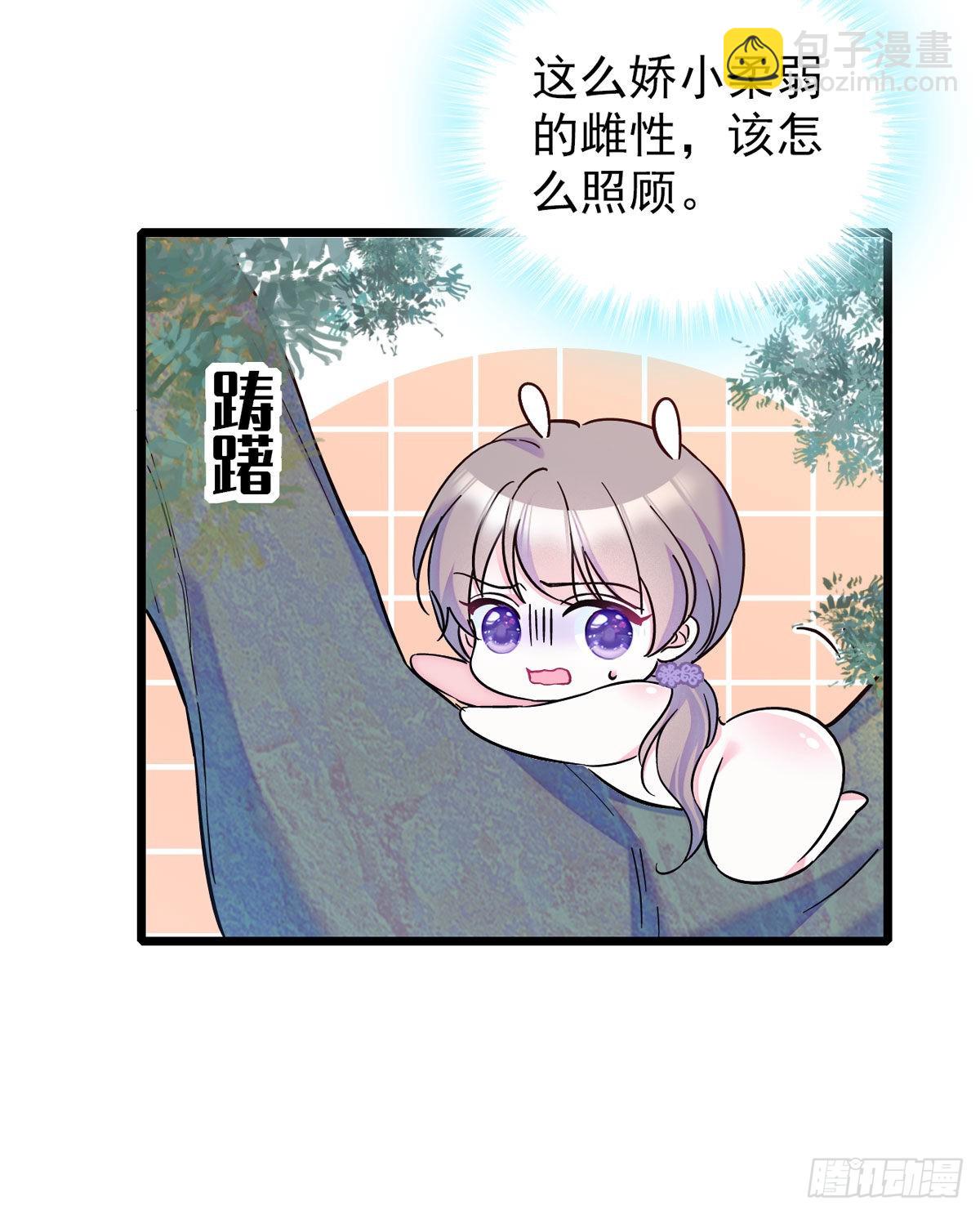 03 这是，动物世界？-第3话