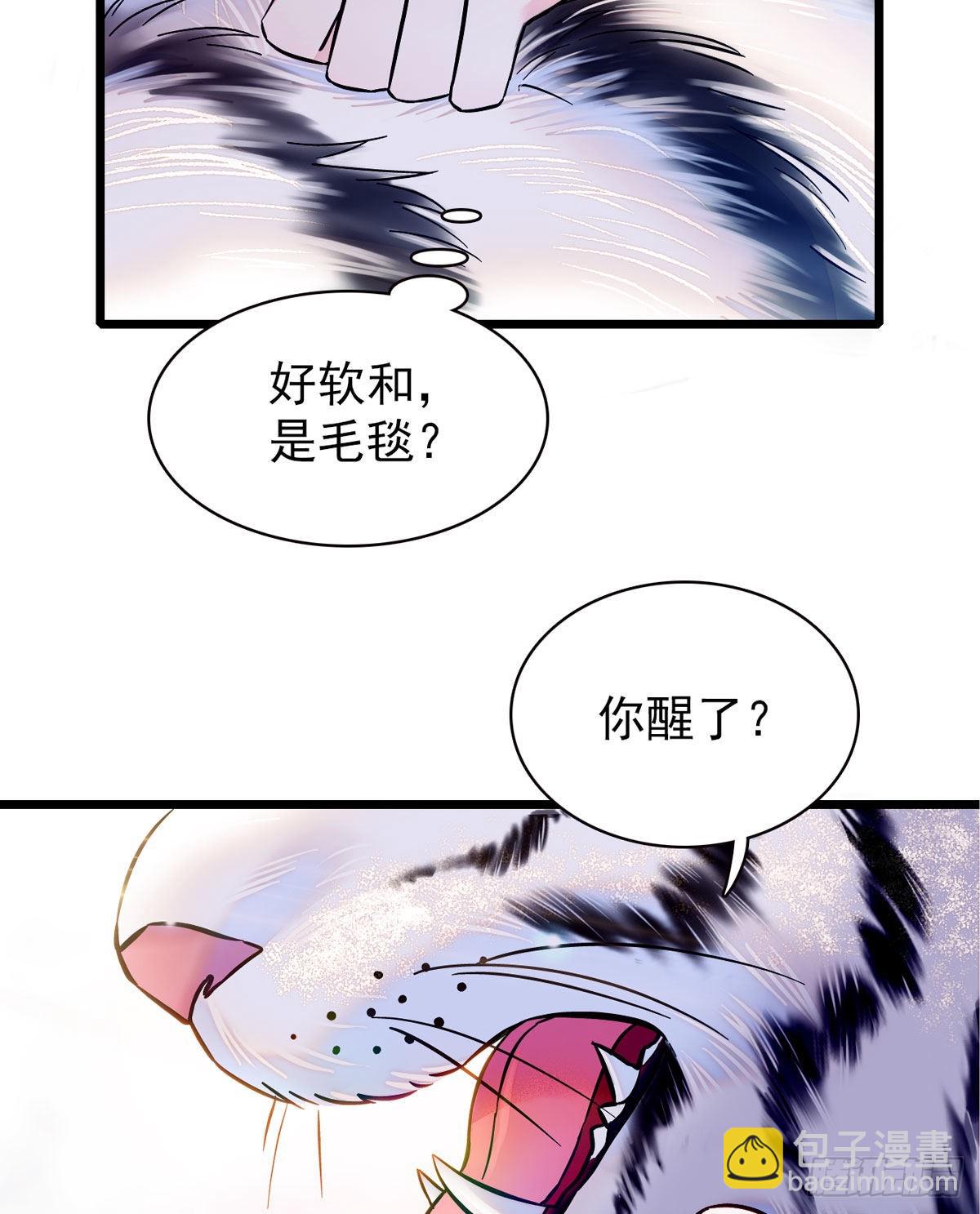 03 这是，动物世界？-第3话