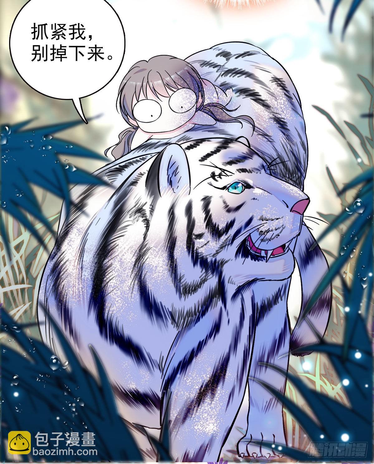 03 这是，动物世界？-第3话