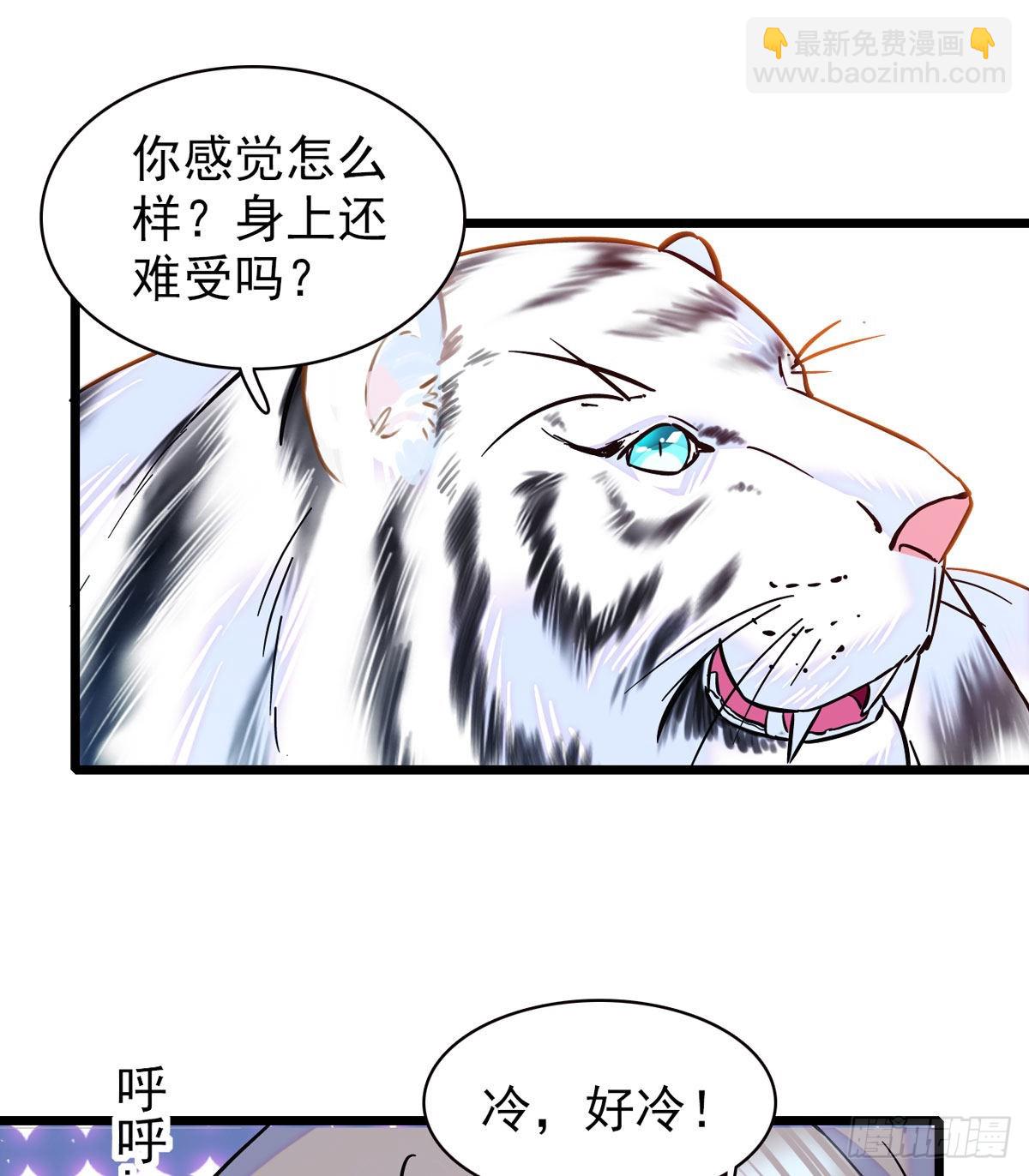 03 这是，动物世界？-第3话