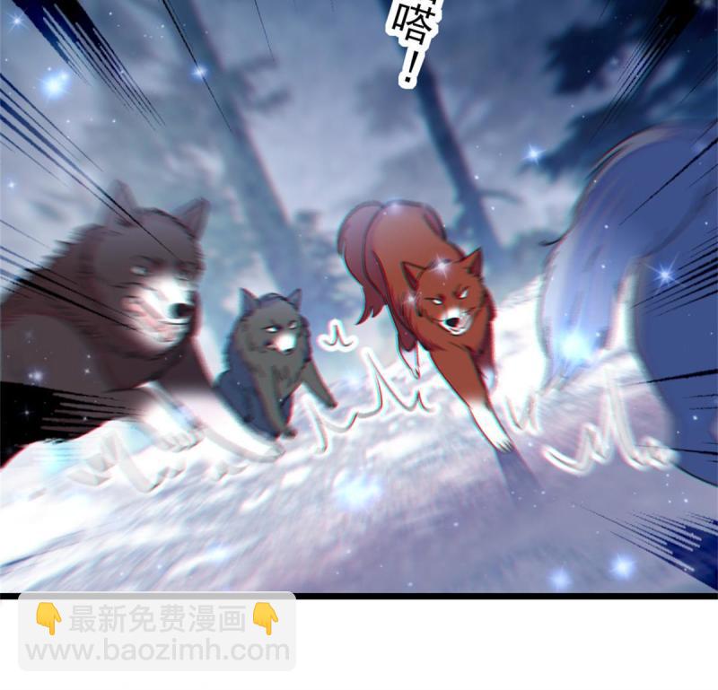 52 岩石狼族大危机(1/2)-第53话