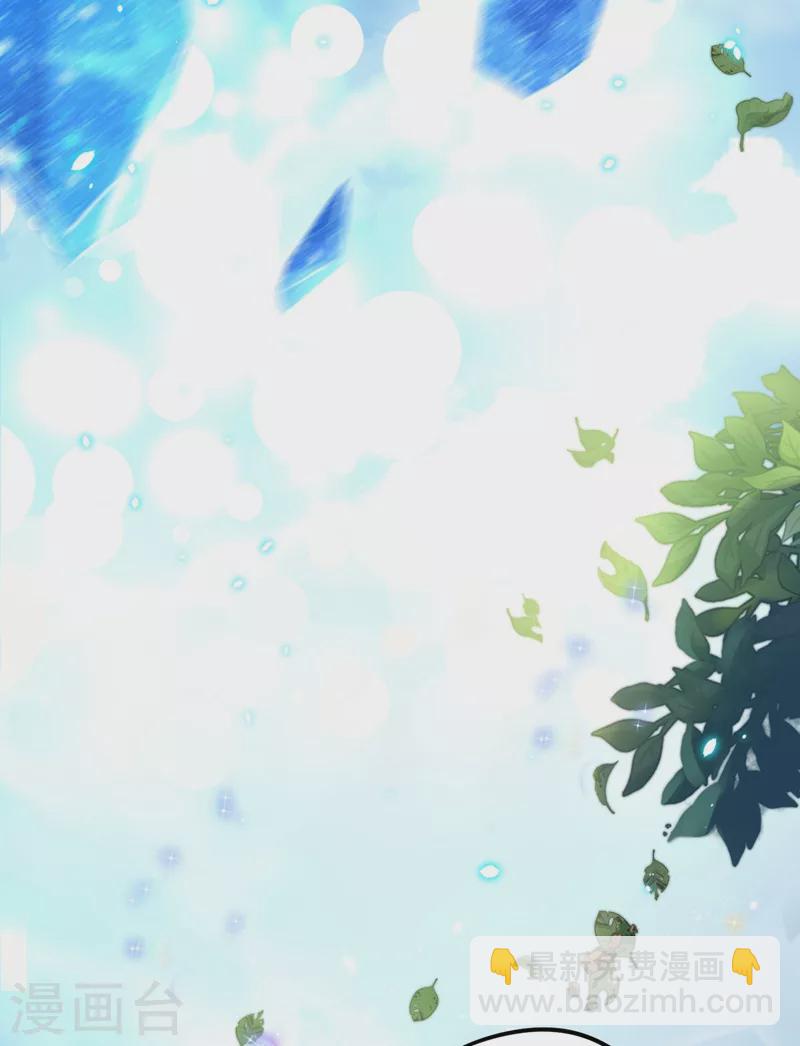 第62话 天上掉下个小正太-第63话