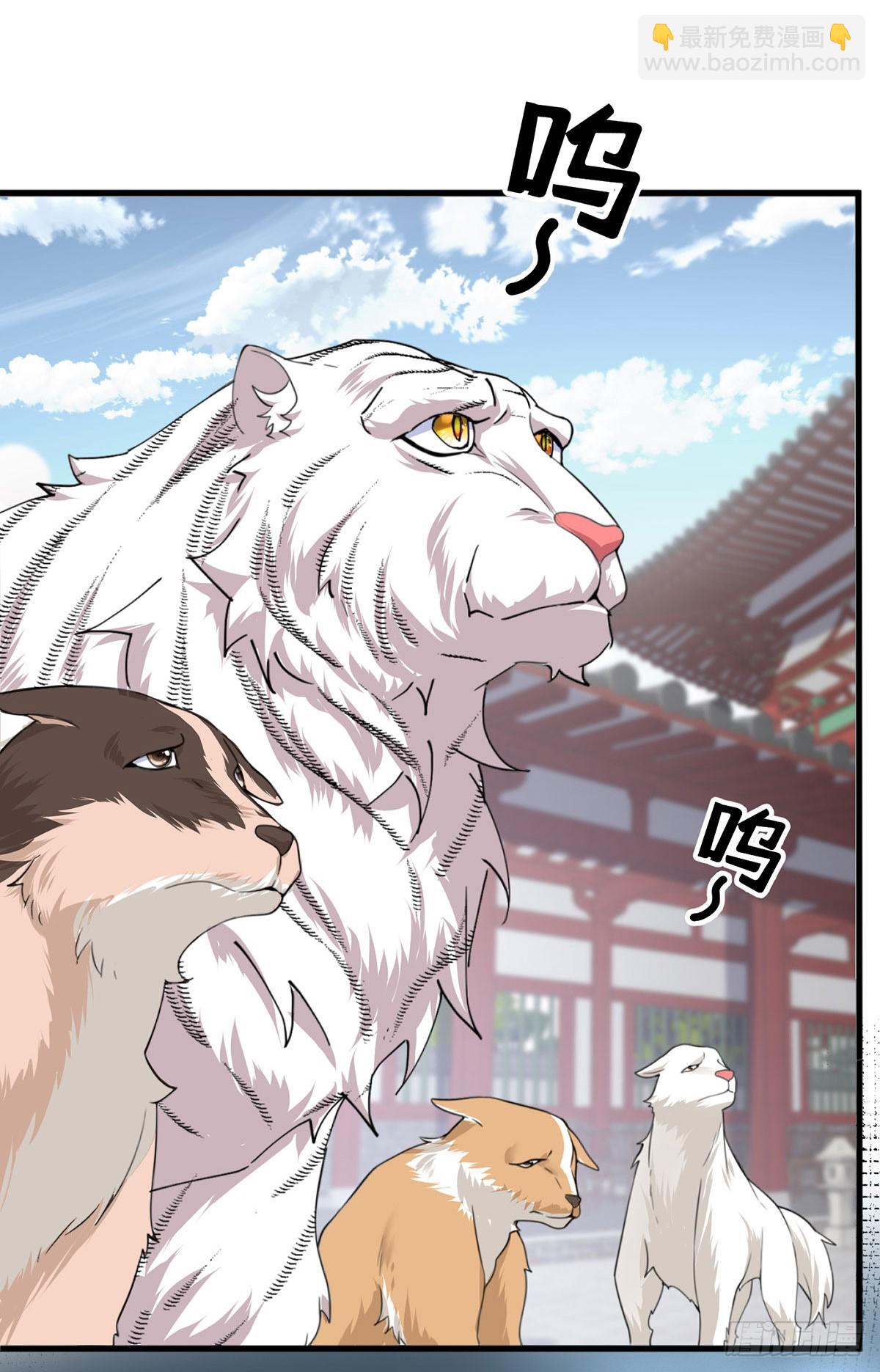 第213话 英儿去哪了？完结-第213话