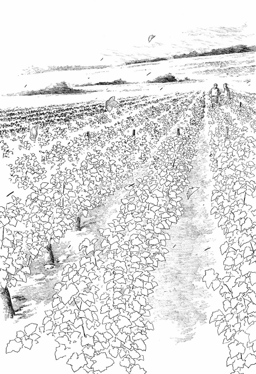 萌菌物語 - 第06卷(4/5) - 1