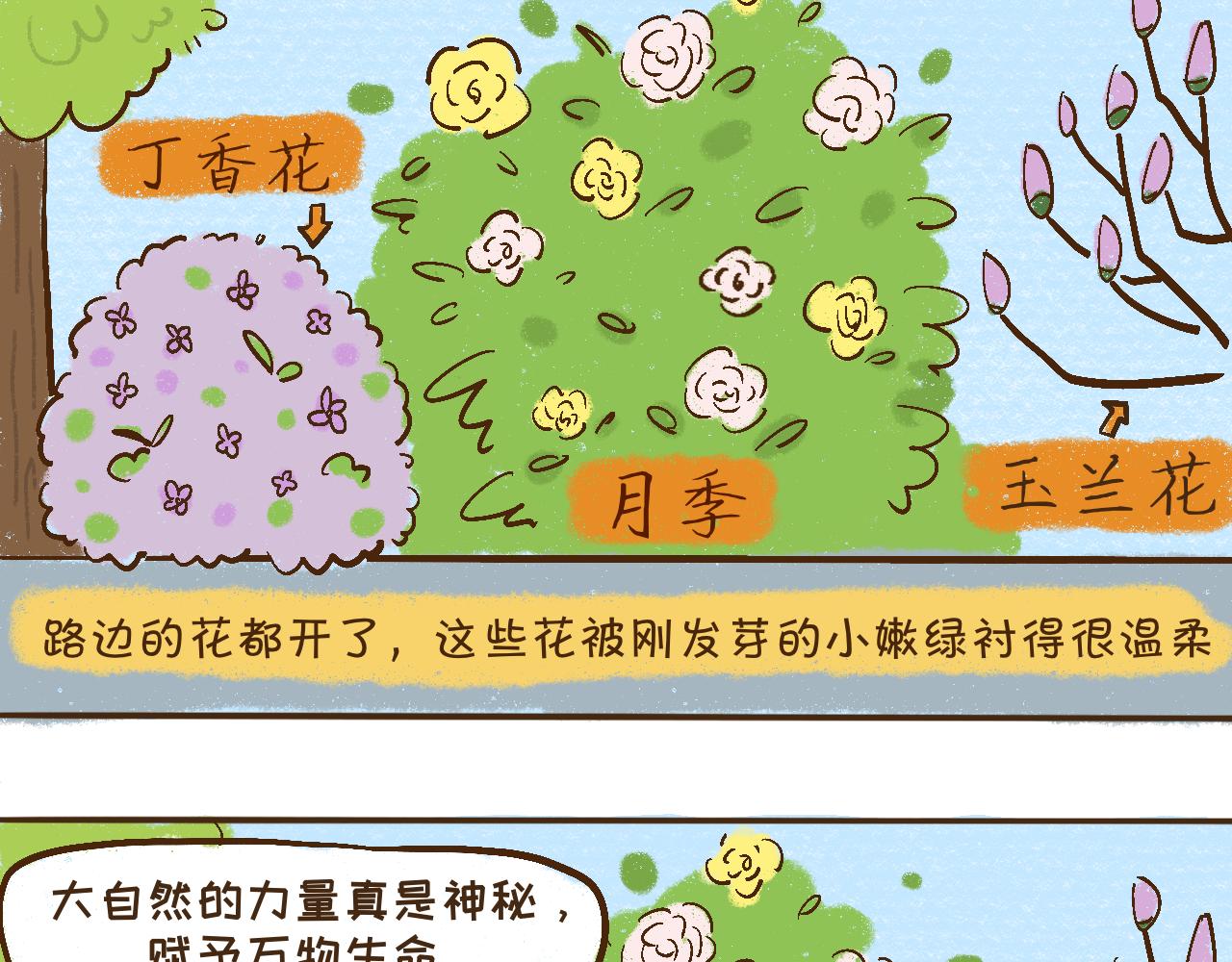 萌娜豆沙的生活 - 美好的早晨 - 4