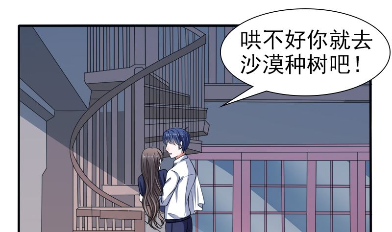 我的女人 我护得住(1/2)-第39话