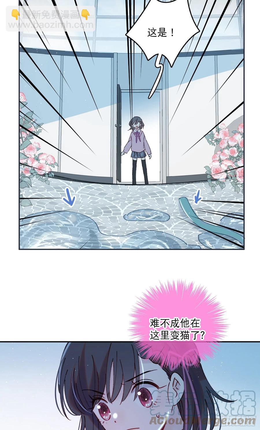 第69话-你退圈吧！-第71话