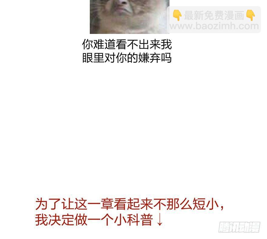 梦塔之魇魂师 - 震惊！梦界逗猫神器竟然是？ - 2