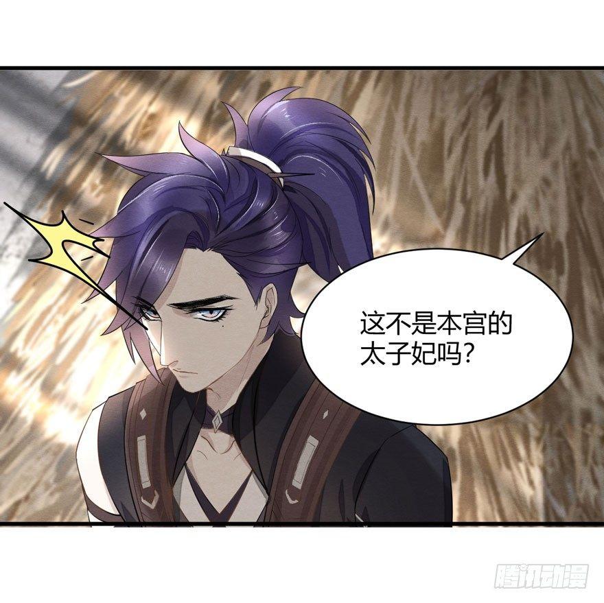 梦塔之魇魂师 - 太子与太子妃重逢！ - 2