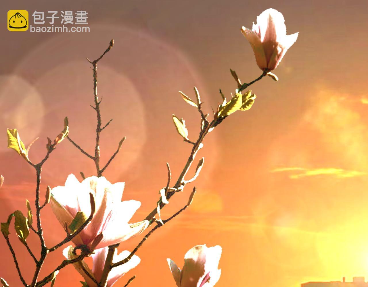 夢想精靈 - 玉蘭花，開了(2/2) - 4