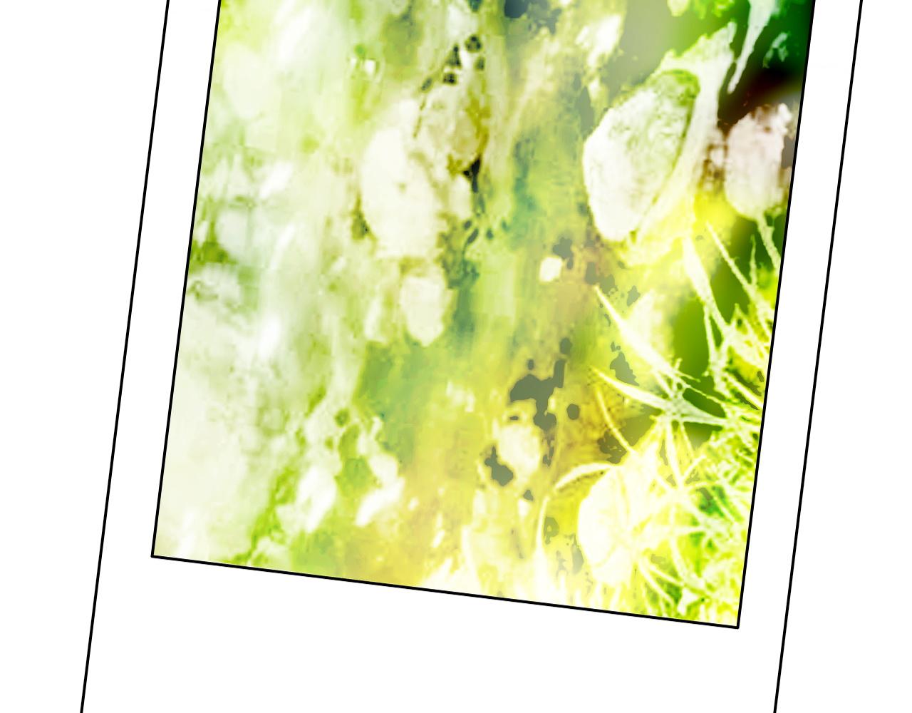 小鬼，你干嘛(1/2)-第29话