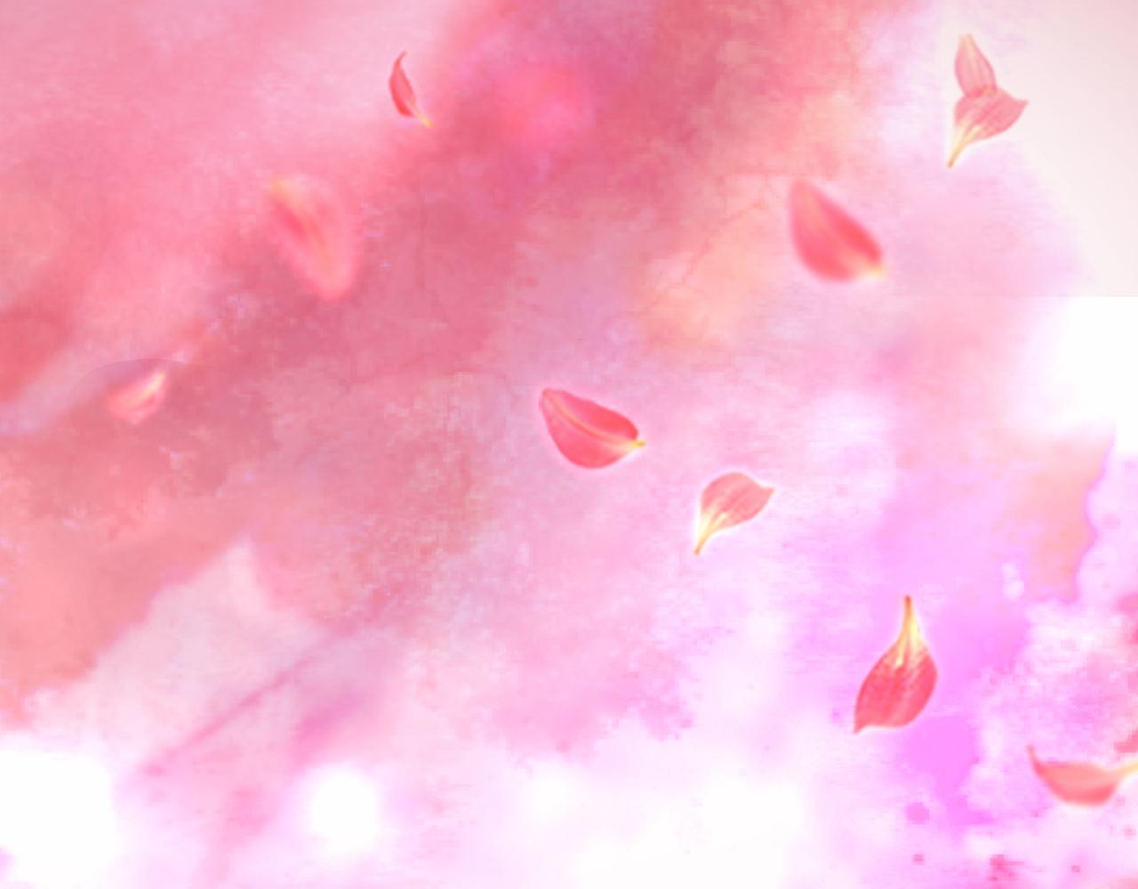 妈妈，是你吗？(1/2)-第33话