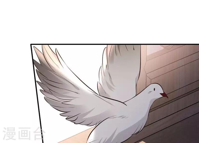 第157话 飞鸽传书(1/2)-第157话