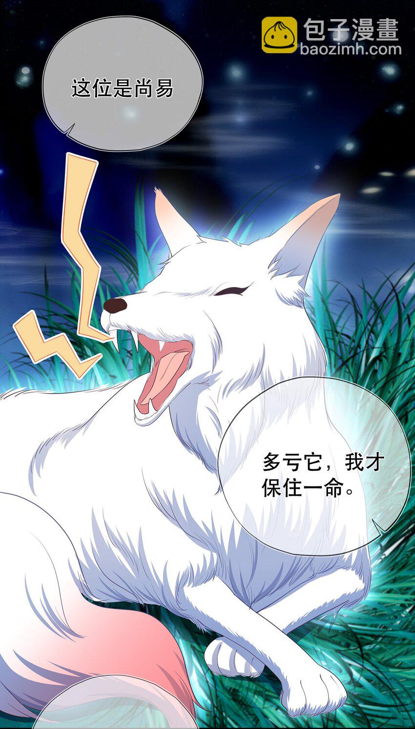 第25话 收服一只臭狐狸-第29话