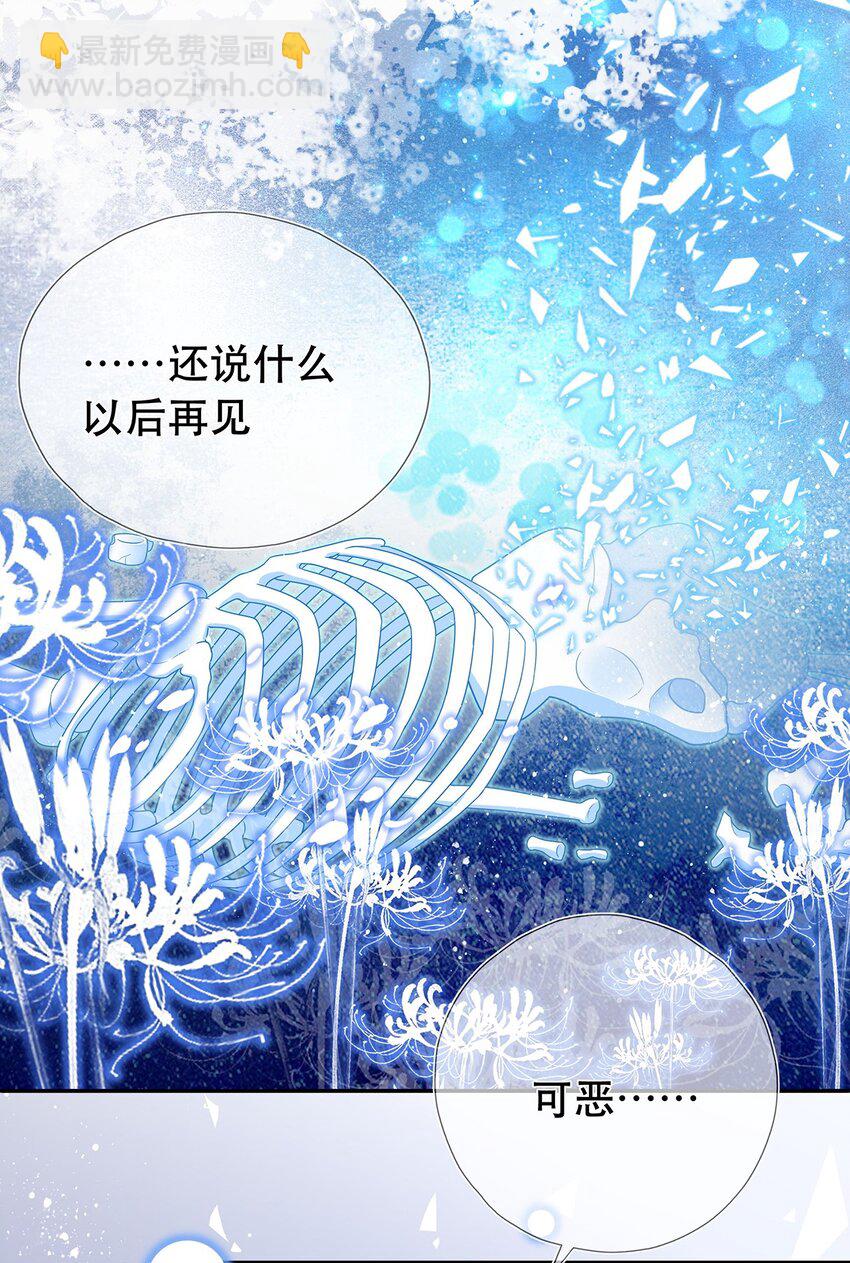 第31话 我家煤球初长成-第35话