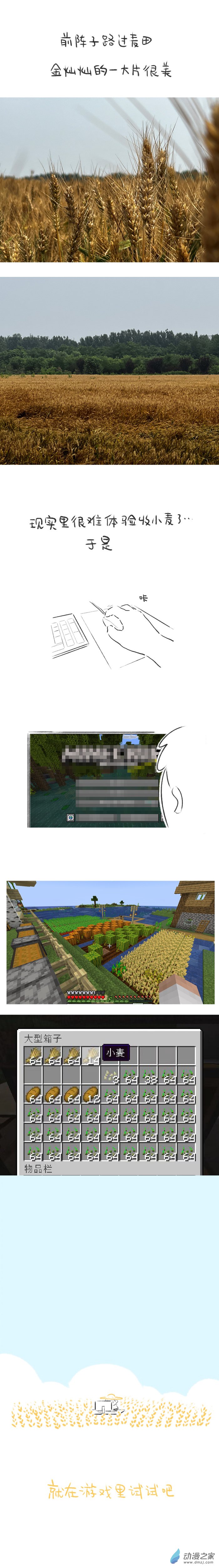 77话 小麦熟了-第81话