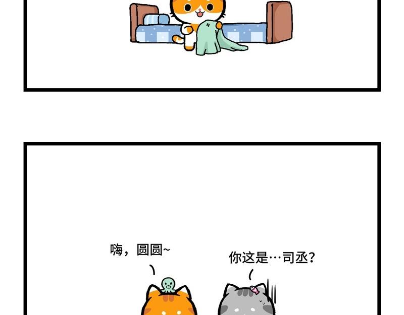 喵叮小劇場 - 盛世大唐 - 3
