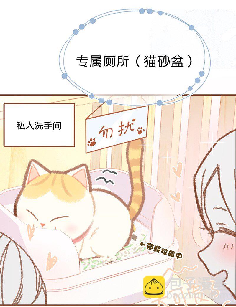 楔子 喵？-第1话