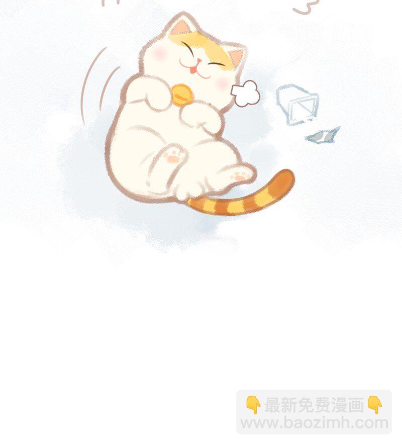 楔子 喵？-第1话