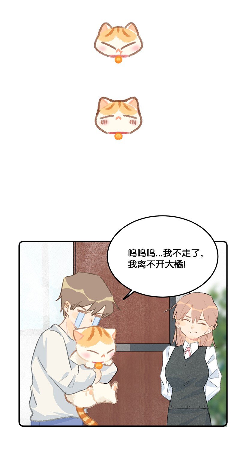 12 万能的喵铃铛？-第13话
