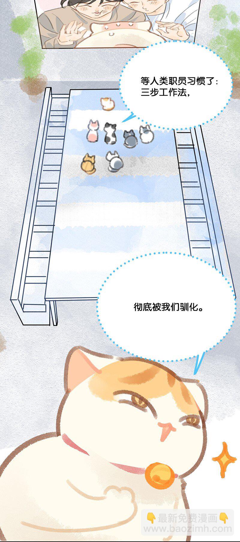 12 万能的喵铃铛？-第13话