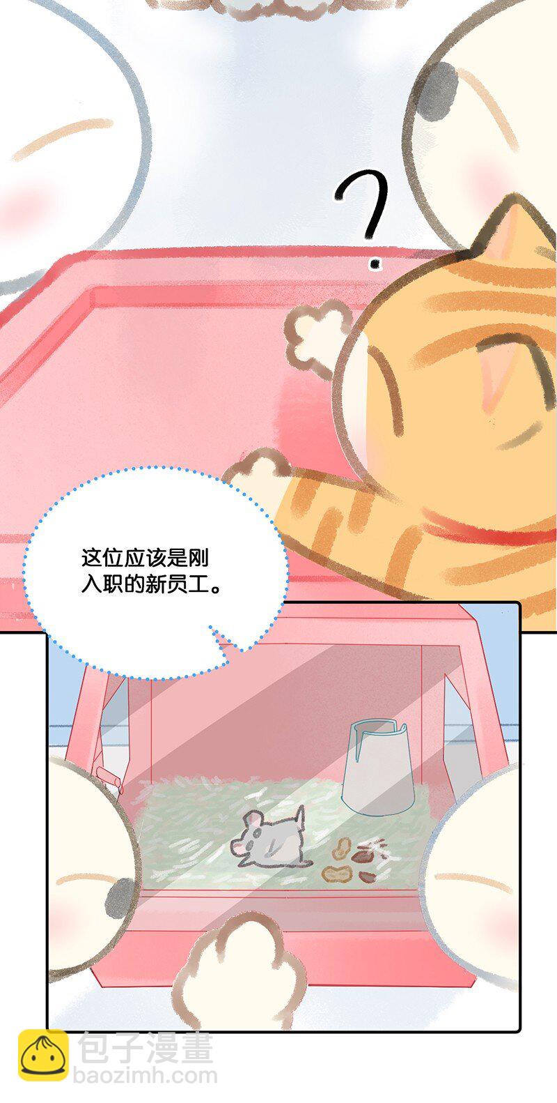 14 肖申克的救赎？-第15话