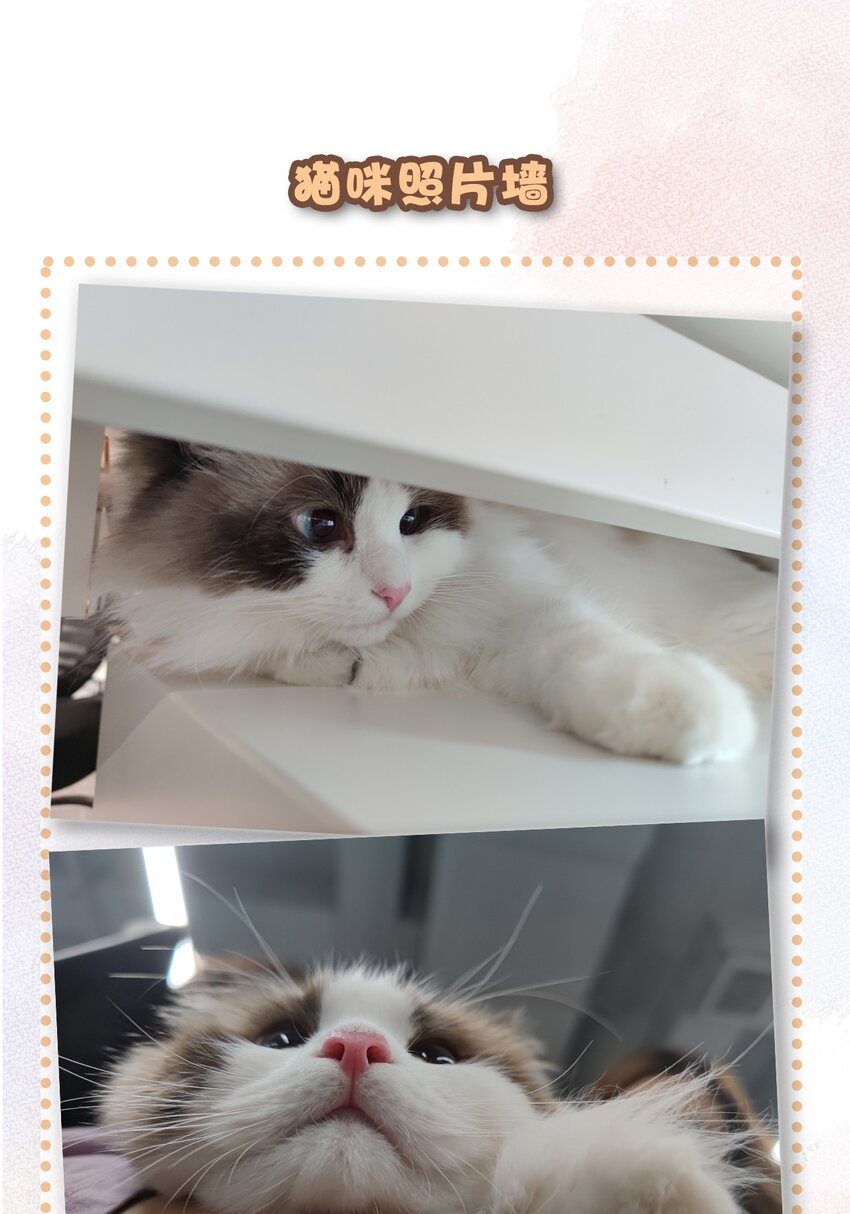 14 肖申克的救赎？-第15话