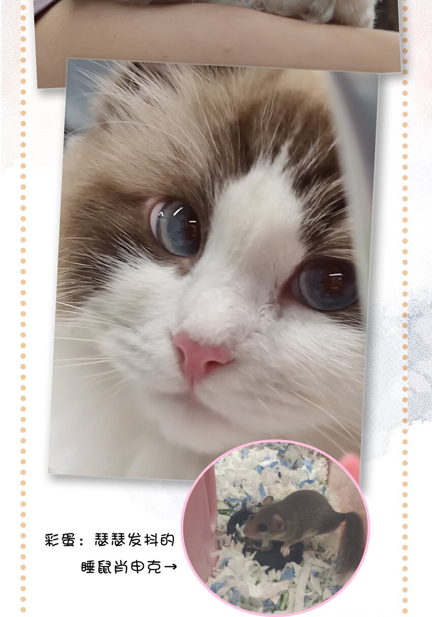 14 肖申克的救赎？-第15话