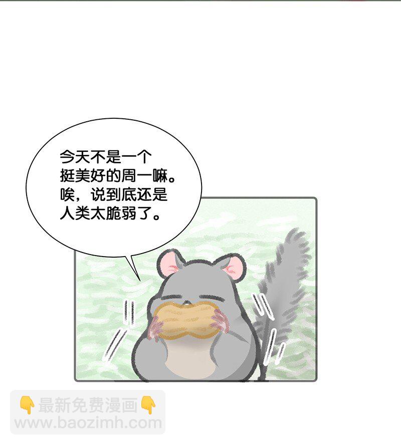 14 肖申克的救赎？-第15话