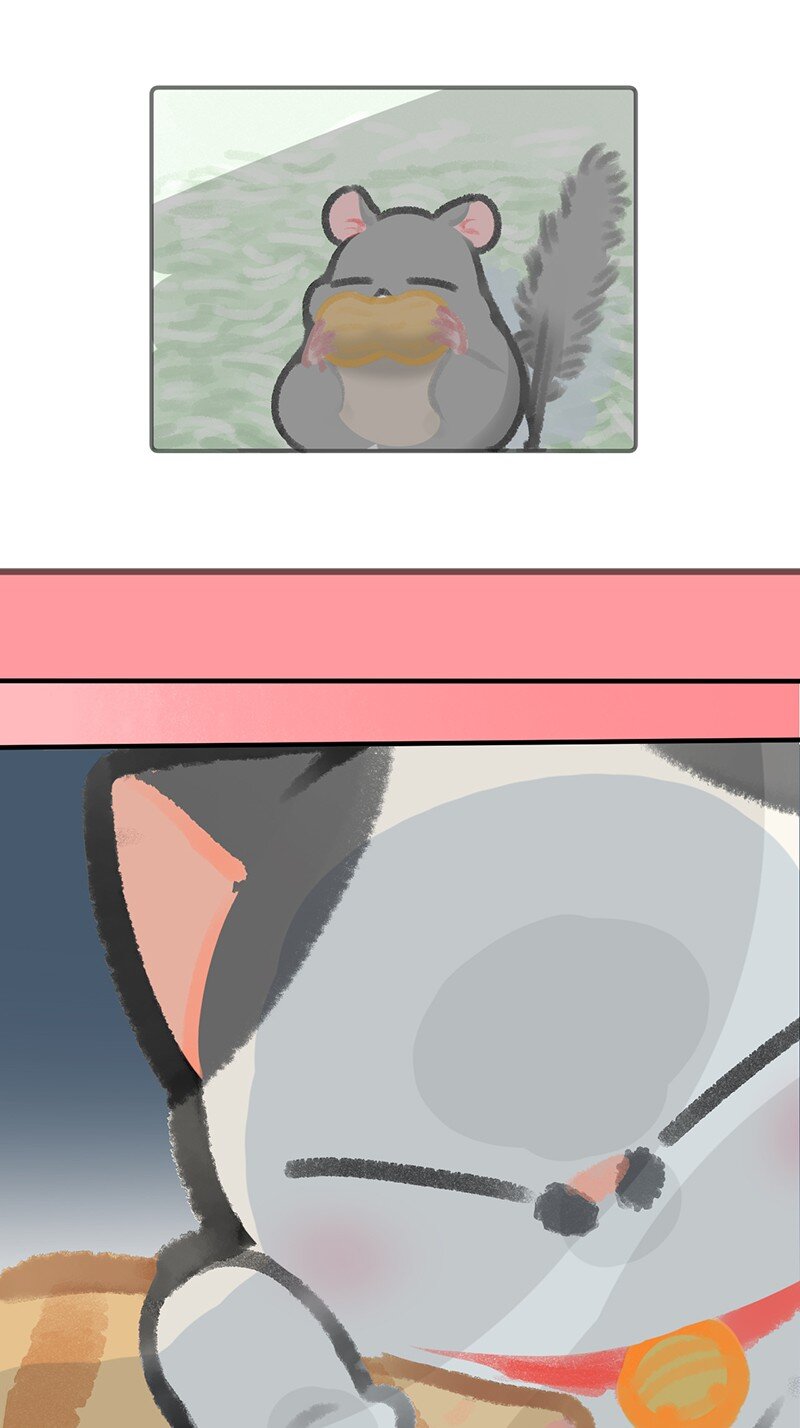 14 肖申克的救赎？-第15话