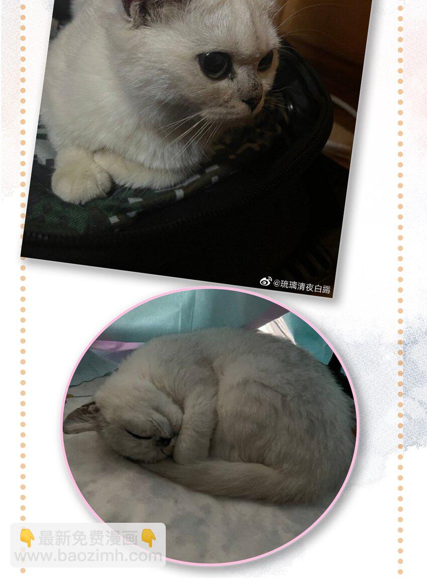 16 拯救员工的&ldquo;高管&rdquo;喵！-第17话