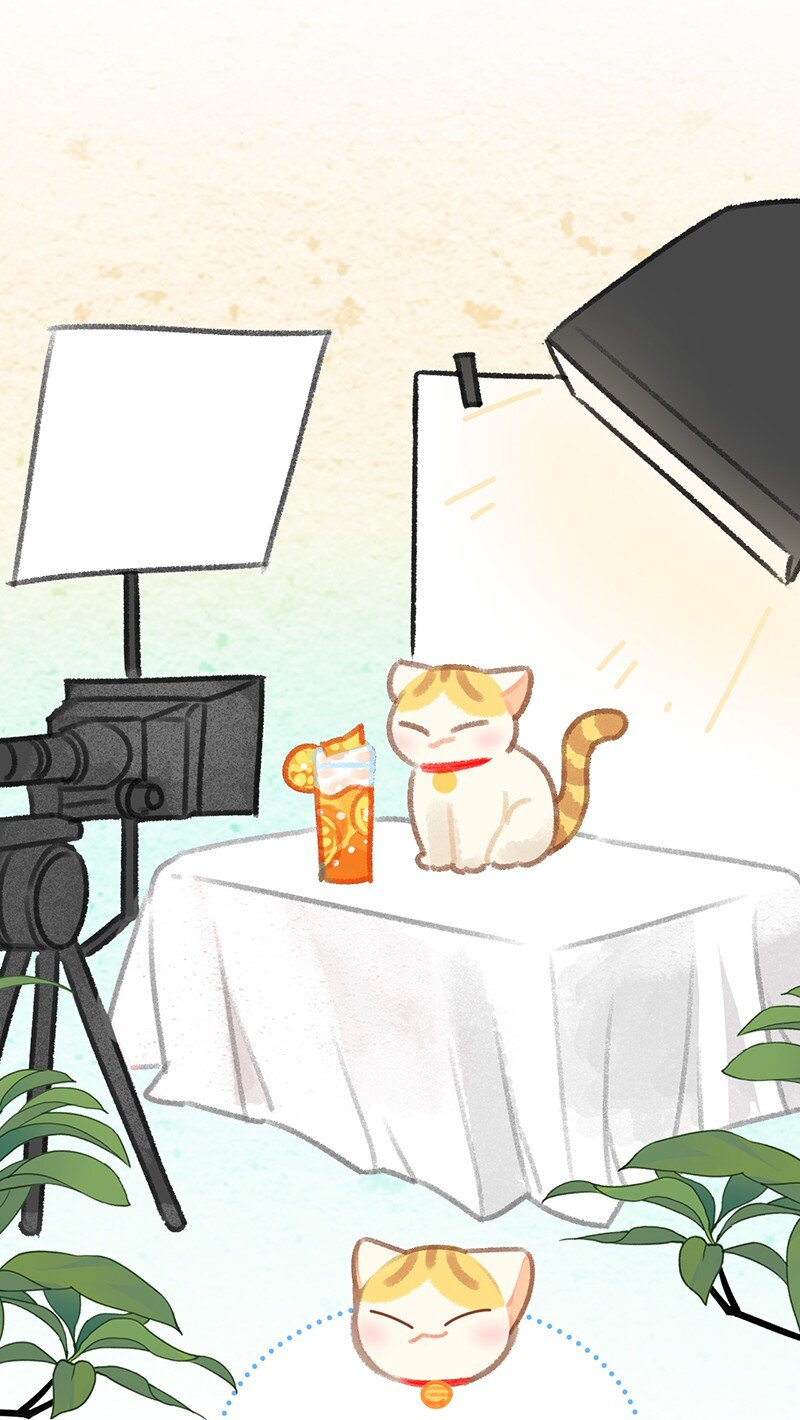 18 高管喵的新业务？！-第19话