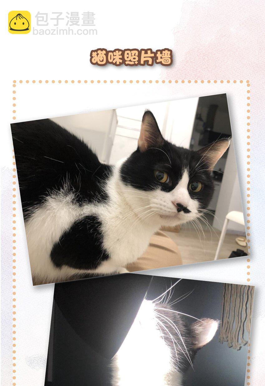 18 高管喵的新业务？！-第19话