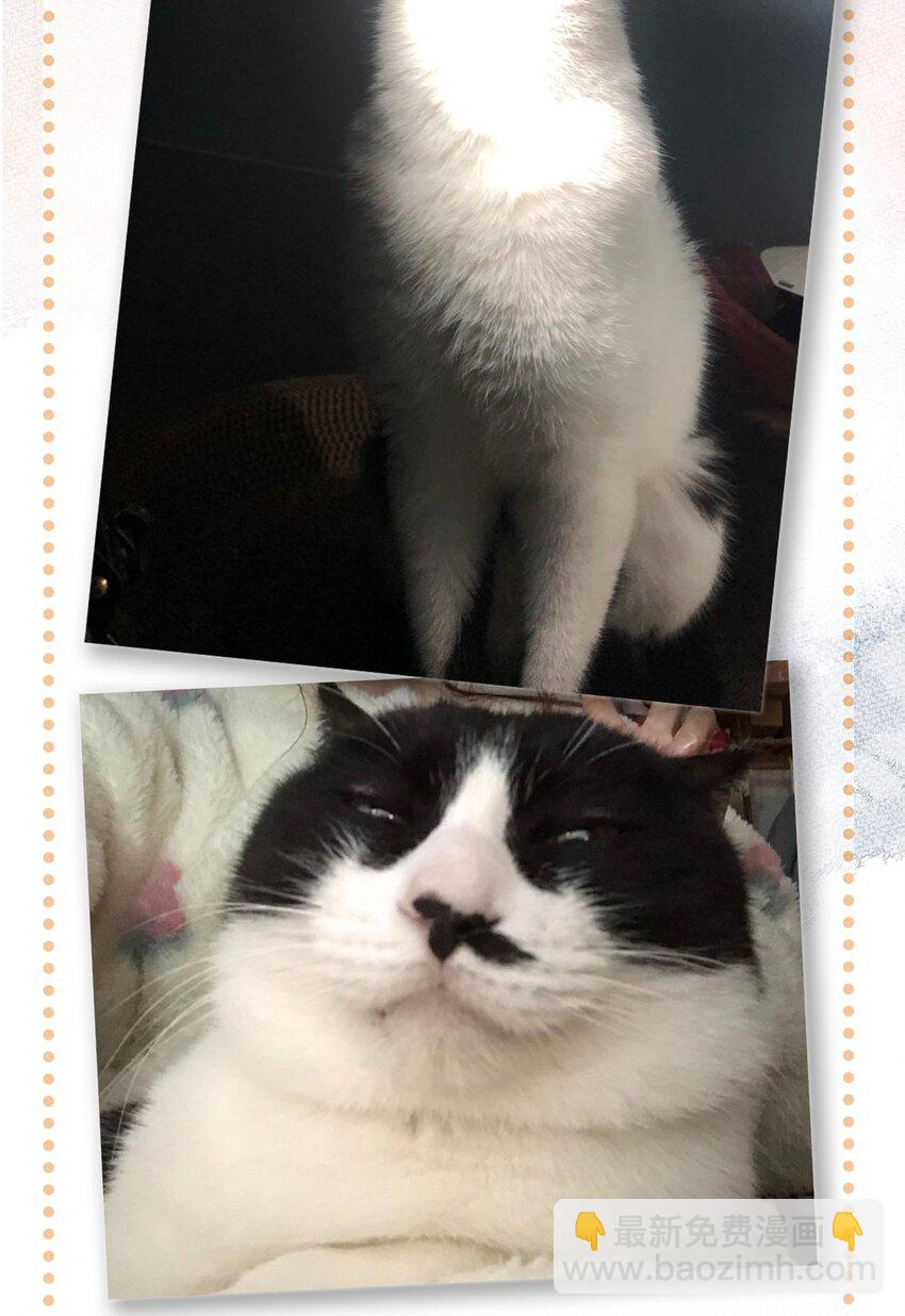 18 高管喵的新业务？！-第19话