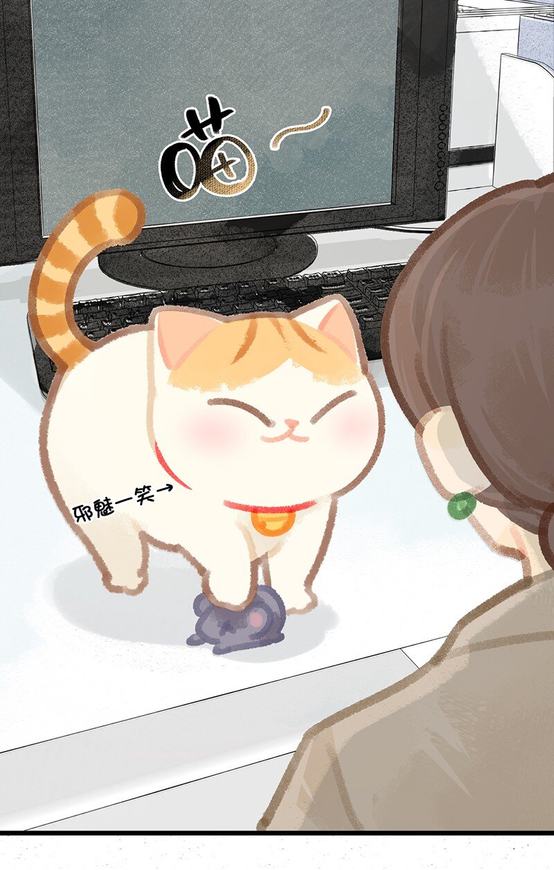 圣诞 圣诞特别篇&mdash;&mdash;大橘的礼物！-第21话