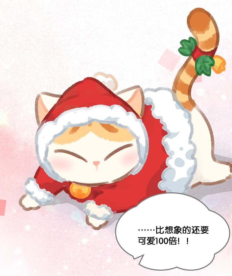 圣诞 圣诞特别篇&mdash;&mdash;大橘的礼物！-第21话