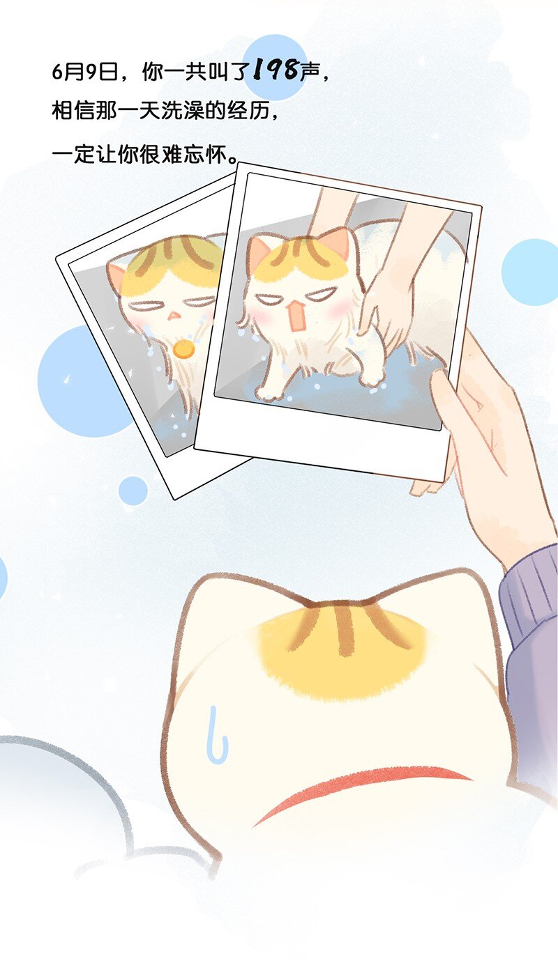 21 大橘的年终总结报告-第23话